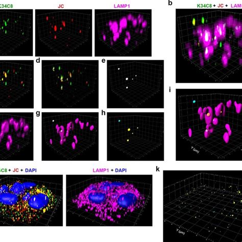 Super Resolution Stimulated Emission Depletion STED Microscopy