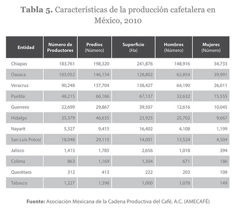 La Producci N De Caf En M Xico Ventana De Oportunidad Para El Sector