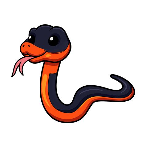 Cute ring necked snake cartoon 19596092 Vector Art at Vecteezy