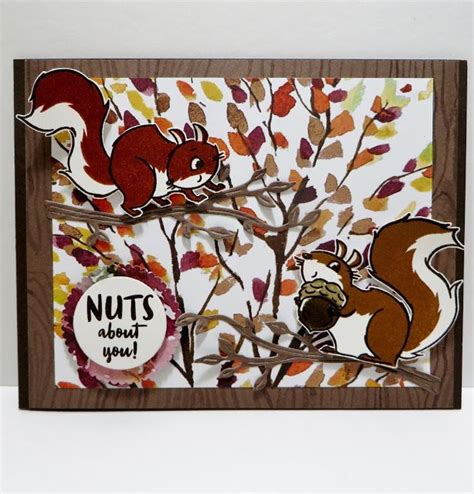 Lynn S Locker Beauty Of The Earth Nuts About Squirrels Iconic