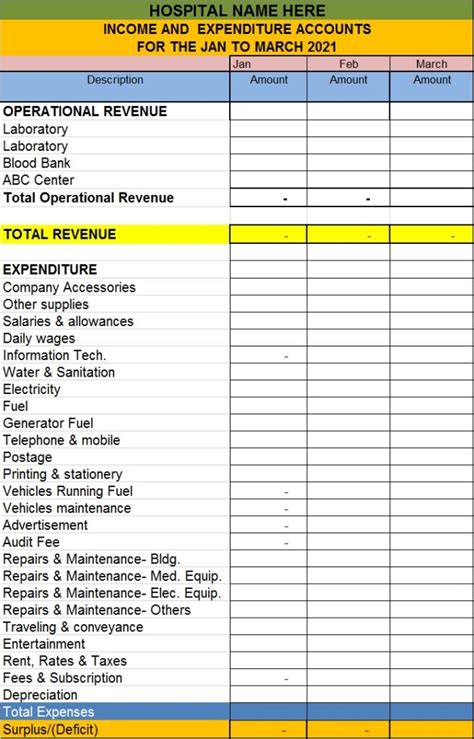 Sample Hospital Budget Template