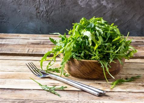 Urban Gardening Säen und Ernten geht auch auf kleinem Raum