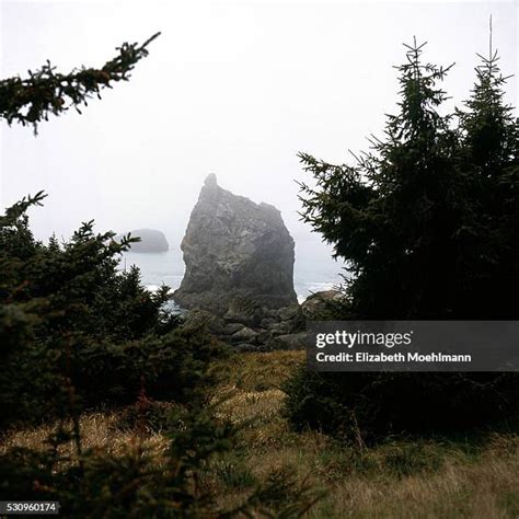 129 Rocky Point Oregon Stock Photos, High-Res Pictures, and Images ...