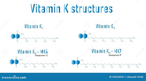 Chemische Struktur Des Vitamins K1 Und K2 Skeleta Vektor Abbildung