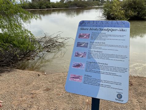 Riparian Preserve in Gilbert - Phoenix With Kids