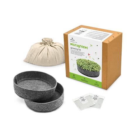 Buy DIY Ready to Use Microgreen Growing Kit Online on Brown Living ...