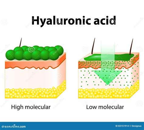 Hyaluronic Acid Ha Hyaluronan Structural Chemical Formula And