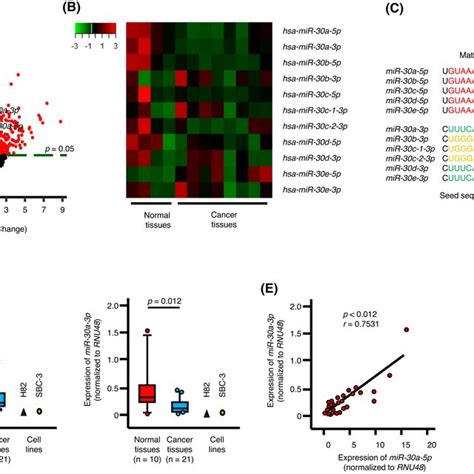 Tumor‐suppressive Roles Of Mir‐30a‐5p And Mir‐30a‐3p In Sclc Cells