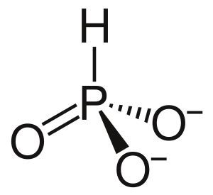 Phosphite Facts for Kids