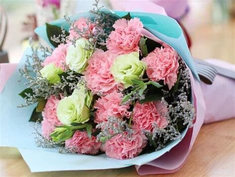 Bó Hoa Cẩm Chướng Đẹp Sinh Nhật Hanoi Florist Vn