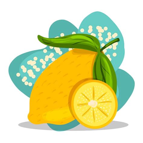 Premium Vector | Fruit. hand drawing. lemon