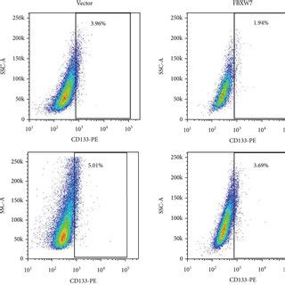 Fbxw Overexpression Inhibits The Stem Cell Like Properties Of Hcc