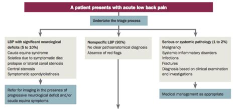 Lumbar Differential Diagnosis - Physiopedia