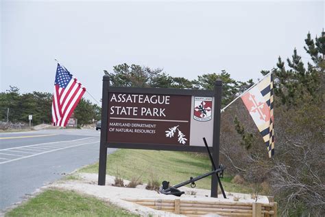 Camping At Assateague Billolearning