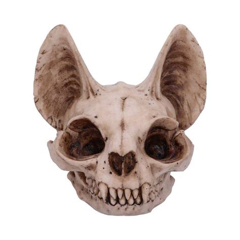 Nemesis Now Bastet S Secret Cat Skull Figurine Ornament Natural Bone