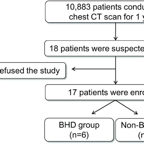 Study Flow Chart Ct Computed Tomography Bhd Birthoggdube