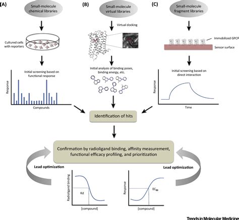 Emerging Approaches To Gpcr Ligand Screening For Drug Discovery Trends