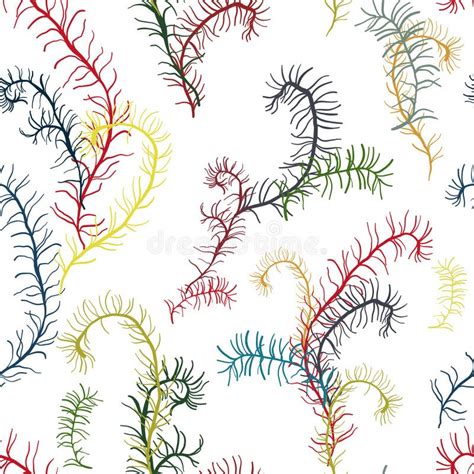 Tropical Seaweeds Pattern Of Colorful Laminaria Underwater Plant