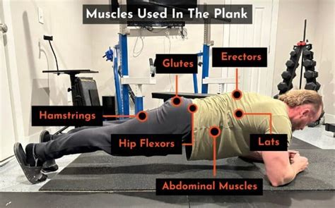 How To Work Your Core With Proper Plank Form Powerliftingtechnique