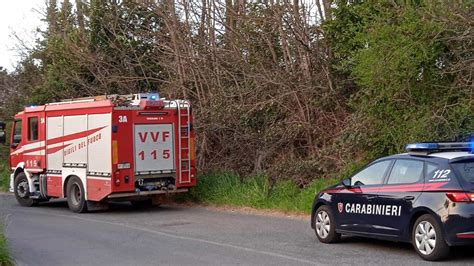 Tragico Incidente Stradale Enne Si Schianta Con La Bici Contro Un