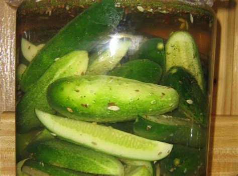 Kosher Pickles In A Crock Recipe Just A Pinch Recipes