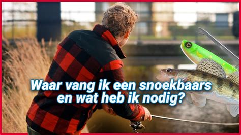 Waar Vang Je Een Snoekbaars En Waar Moet Je Op Letten YouTube