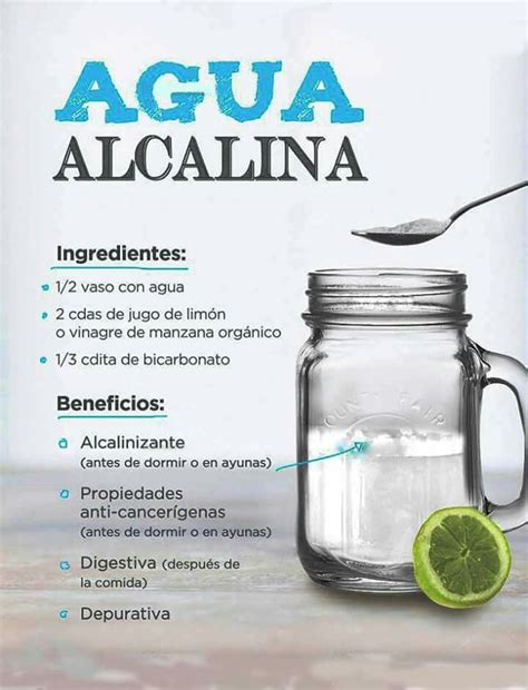 Cuaderno lechuga llevar a cabo agua alcalina casera Multiplicación