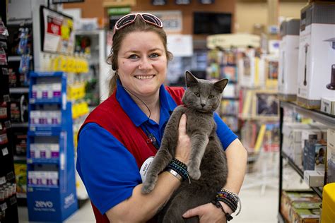 Maricopa Ace Hardware Has A Store Cat