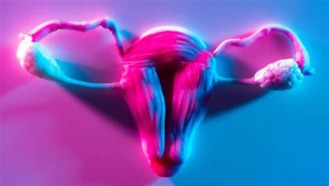 Loose Vagina Myths Facts And How To Tighten Vaginal Muscles HealthShots