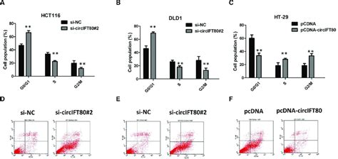 Circift80 Knockdown Inhibits The Proliferation Of Crc Cells By Inducing