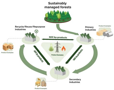 Forest Biomass Action Plan Ontario Ca