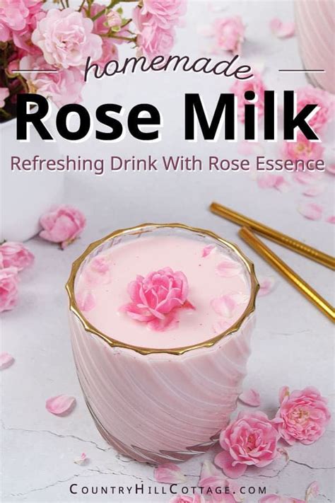 Homemade Rose Milk Recipe