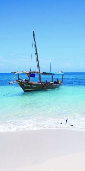 Nakupenda Sandbank Picnic Prison Island Cooking Class Tour Getyourguide