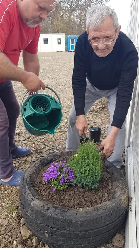 Plantare Flori Curatenie Padurea Verde 1 Pressalertro