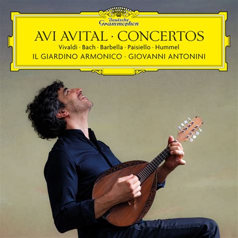 Produktfamilie Concertos Avital