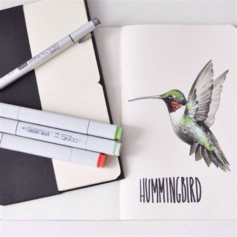 Birds of El Salvador on Behance