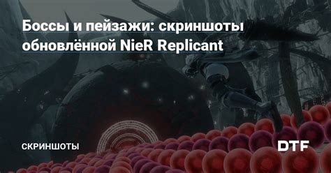 Боссы и пейзажи скриншоты обновлённой Nier Replicant — Скриншоты на Dtf