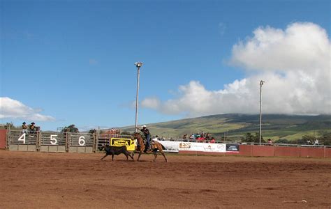 Results from Parker Ranch Rodeo 2010 | Hawaii 24/7