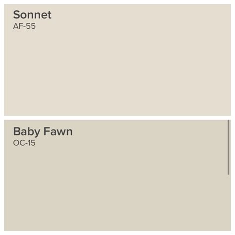 What Is The Color Fawn