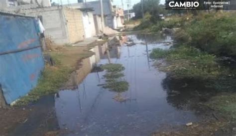 Tras Desbordamiento De Canal Aguas Negras Inundan Calles En Comunidad