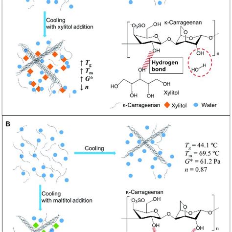 FTIR spectrum of κ carrageenan κ C with addition of xylitol A and