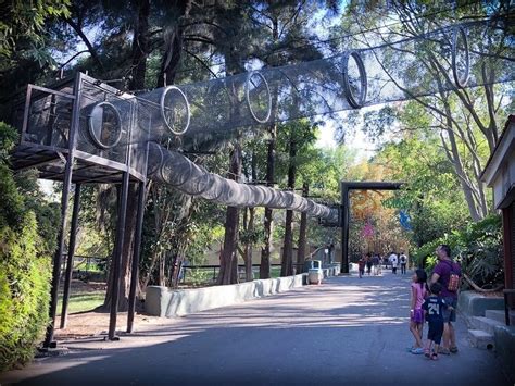 7 Valuable Tips For Visiting The Guadalajara Zoo in Mexico - The ...