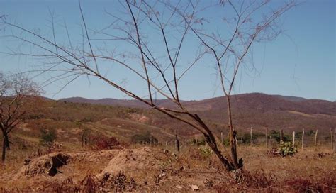 Portugal continental manteve situação de seca meteorológica em setembro