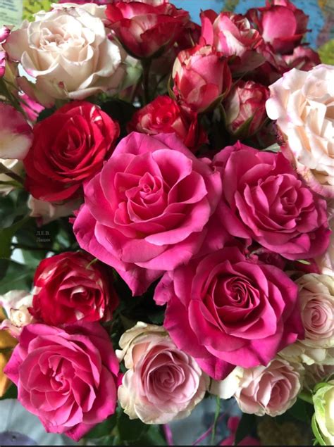 Рози. З Днем Народження.