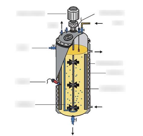 Schaubild Bioreaktor Fermenter Quizlet