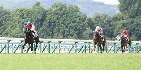 セール1・8億円超ショウナンザナドゥが5馬身差v 池添騎手「バネすばらしい」／京都1r 2歳馬特集 競馬写真ニュース 日刊スポーツ