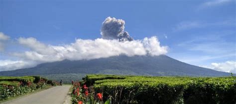 Jurnal Metro Analisa Jadi Fakta Gunung Kerinci Erupsi Abu Vulkanik