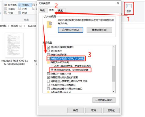 电脑隐藏文件怎么显示 电脑隐藏文件显示出来方法 驱动人生