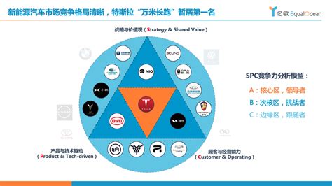 2020年中国新能源汽车市场竞争格局及洞察分析 全球新能源汽车网