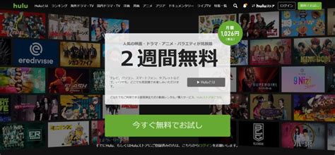 Huluでの英語学習法をtoeic満点が解説【アニメを英語で観る裏技も】